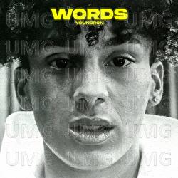 WORDS - Youngron