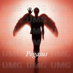 Pegasus - Hotei
