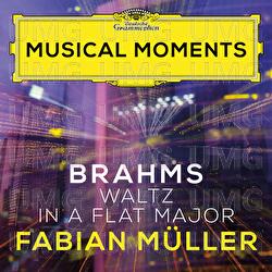 Brahms: 16 Waltzes, Op. 39: No. 15 in A Flat Major - Fabian Müller