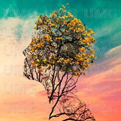 Adayume No Nakade - KAMI WA SAIKORO WO FURANAI