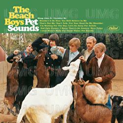 Wouldn&rsquo;t It Be Nice - The Beach Boys