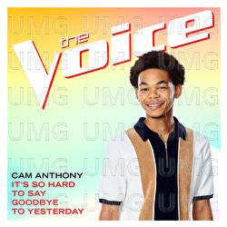 It&rsquo;s So Hard To Say Goodbye To Yesterday - Cam Anthony