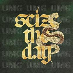 SEIZE THE DAY - SWIDT, Savage