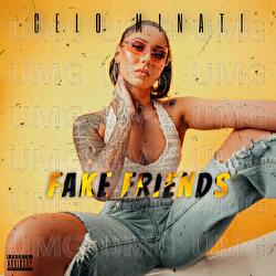 Fake Friends - Celo Minati