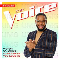 I Can't Make You Love Me - Victor Solomon