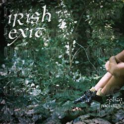 Irish Exit - Eliza McLamb