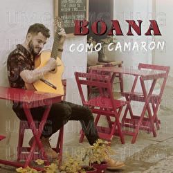 Como Camar&oacute;n - Boana