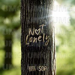 Not Lonely - Gest&ouml;rt aber GeiL, SDP