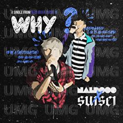 Why ? - naldooo, suisei