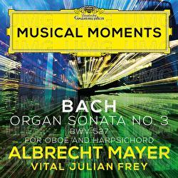 J.S. Bach: Organ Sonata No. 3 in D Minor, BWV 527 (Adapt. for Oboe and Harpsichord by Mayer and Frey) - Albrecht Mayer, Vital Julian Frey