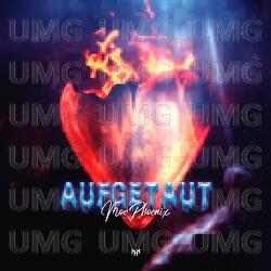AUFGETAUT - Moe Phoenix