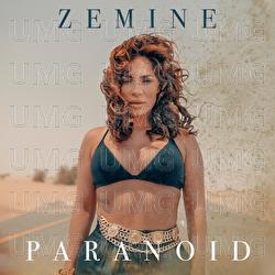 Paranoid - Zemine