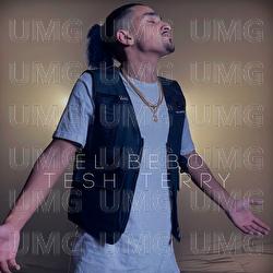 Tesh Terry - El Bebo