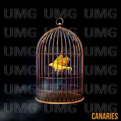 Canaries - Cuffed Up