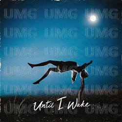 Until I Wake - Until I Wake