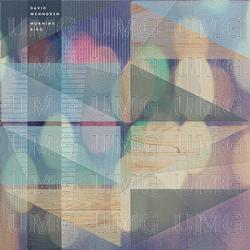 Morning Bird - David Wenngren