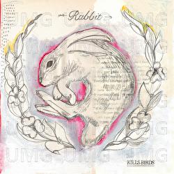 Rabbit - Kills Birds