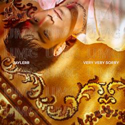 Very Very Sorry - JAYLERR
