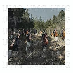 Trees for the Wood - Manu Delago