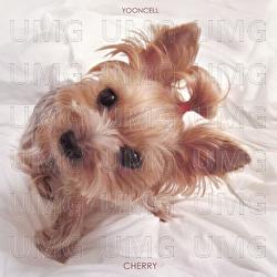 Cherry - YOONCELL