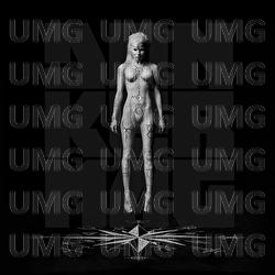 Pitbull Terrier - Die Antwoord