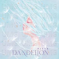 dandelion - PITTA