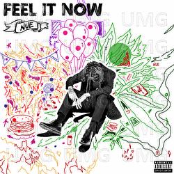 Feel It Now - Nue