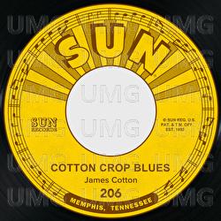Cotton Crop Blues / Hold Me in Your Arms - James Cotton