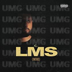 LMS (Intro) - Rayn