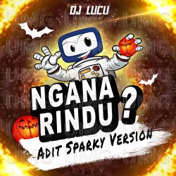 Ngana Rindu? - DJ Lucu, Adit Sparky