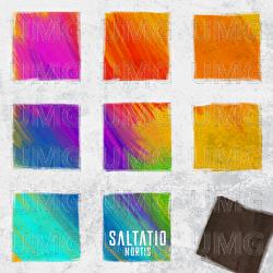 Besorgter B&uuml;rger / Schrei nach Liebe - Saltatio Mortis