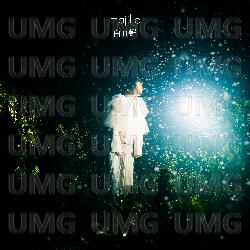 White Cicada - majiko