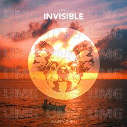 Invisible - YNOT