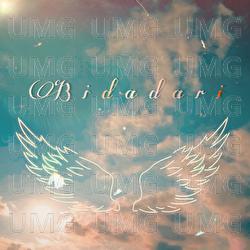 Bidadari - METEORIX