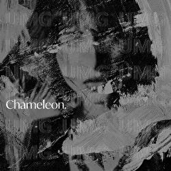 Chameleon - Command Sisters