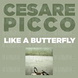 Like A Butterfly - Cesare Picco, Leonardo Sapere