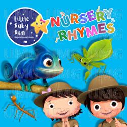 Animals That Camouflage - Little Baby Bum Nursery Rhyme Friends