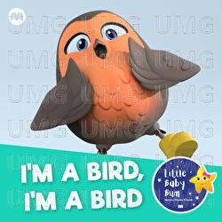I'm a Bird, I'm a Bird - Little Baby Bum Nursery Rhyme Friends
