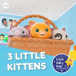 3 Little Kittens (Meow, Meow) - Little Baby Bum Nursery Rhyme Friends