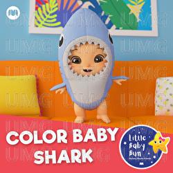 Color Baby Shark - Little Baby Bum Nursery Rhyme Friends