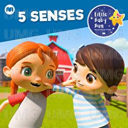 5 Senses - Little Baby Bum Nursery Rhyme Friends