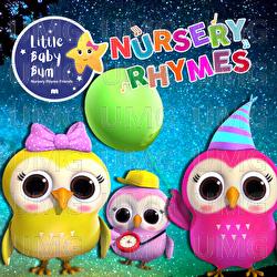 A Wise Old Owl - Little Baby Bum Nursery Rhyme Friends