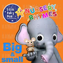 Big and Small Song - Little Baby Bum Nursery Rhyme Friends