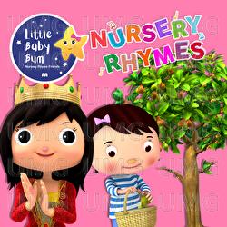I Had a Little Nut Tree - Little Baby Bum Nursery Rhyme Friends
