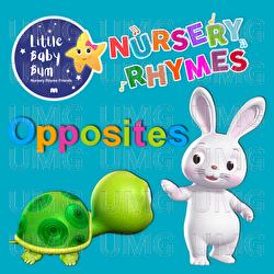 Opposites - Little Baby Bum Nursery Rhyme Friends
