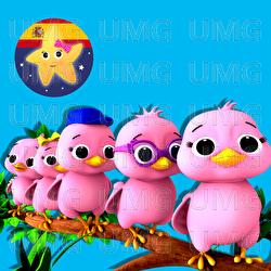 5 Pajaritos - Little Baby Bum Rima Ni&ntilde;os Amigos