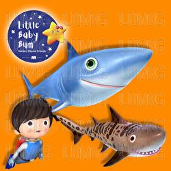 Can&ccedil;&atilde;o do Tubar&atilde;o - Little Baby Bum Amigos de Rima de Ber&ccedil;&aacute;rio