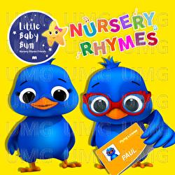 2 Little Dickie Birds - Little Baby Bum Nursery Rhyme Friends