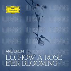 Lo, How a Rose E'er Blooming - Ane Brun