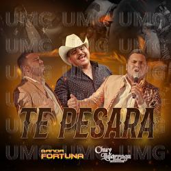 Te Pesar&aacute; - Banda Fortuna, Chuy Liz&aacute;rraga y Su Banda Tierra Sinaloense